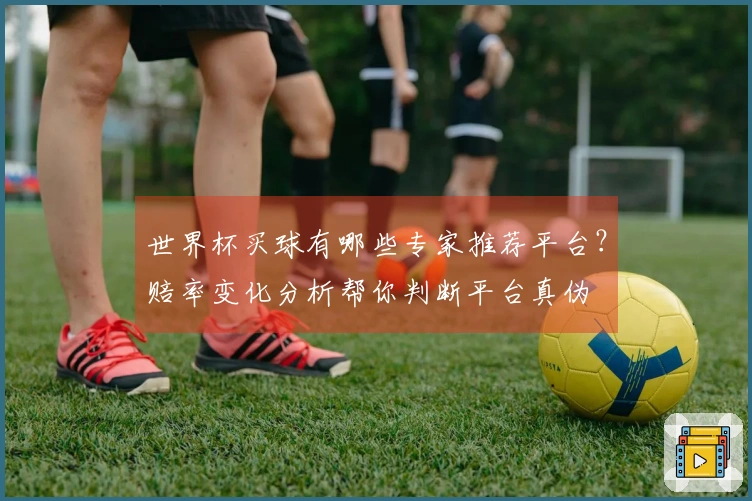 世界杯买球有哪些专家推荐平台?赔率变化分析帮你判断平台真伪