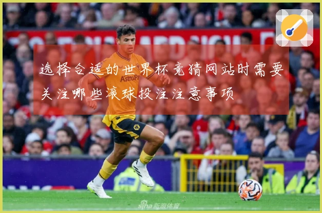 选择合适的世界杯竞猜网站时需要关注哪些滚球投注注意事项