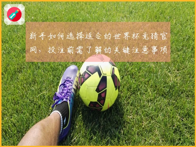 新手如何选择适合的世界杯竞猜官网，投注前需了解的关键注意事项
