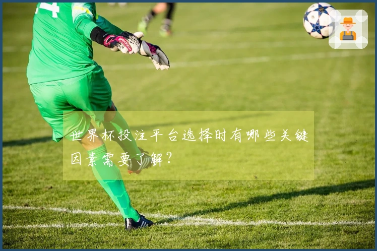 世界杯投注平台选择时有哪些关键因素需要了解？