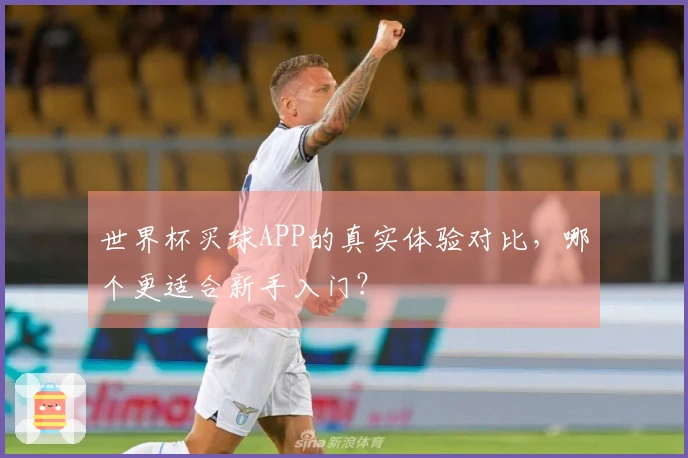 世界杯买球APP的真实体验对比，哪个更适合新手入门？