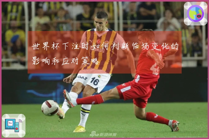 世界杯下注时如何判断临场变化的影响和应对策略