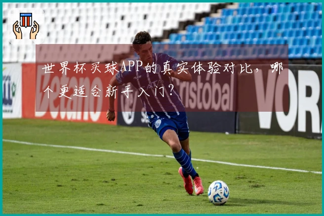 世界杯买球APP的真实体验对比,哪个更适合新手入门?