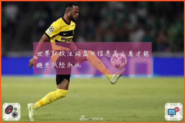 世界杯投注站盘口信息怎么看才能避开风险和坑
