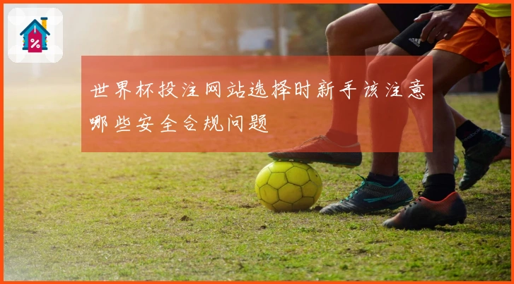 世界杯投注网站选择时新手该注意哪些安全合规问题