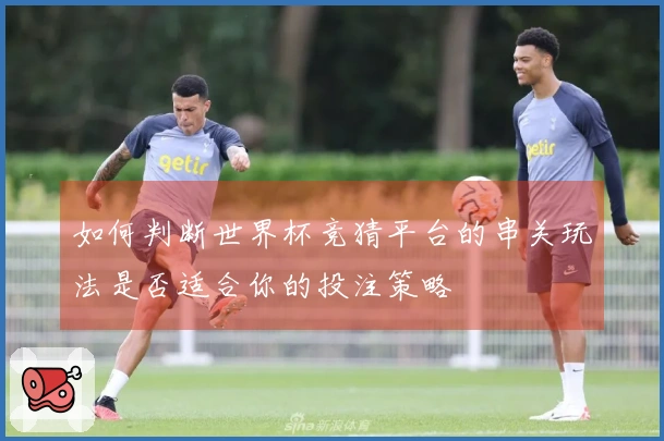 如何判断世界杯竞猜平台的串关玩法是否适合你的投注策略