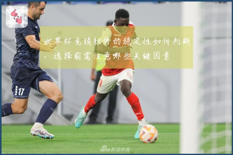 世界杯竞猜软件的稳定性如何判断，选择前需注意哪些关键因素
