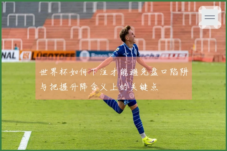 世界杯如何下注才能避免盘口陷阱与把握升降含义上的关键点