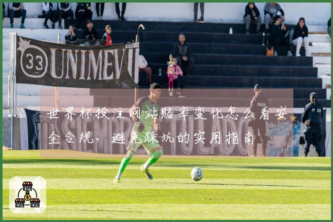 世界杯投注网站赔率变化怎么看安全合规,避免踩坑的实用指南