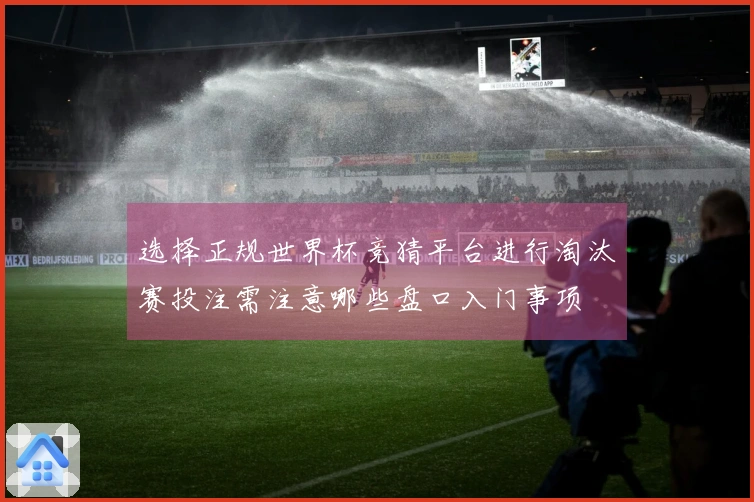 选择正规世界杯竞猜平台进行淘汰赛投注需注意哪些盘口入门事项