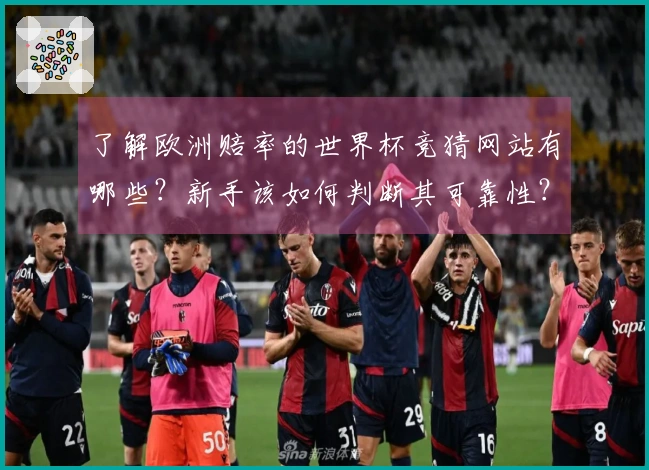 了解欧洲赔率的世界杯竞猜网站有哪些？新手该如何判断其可靠性？