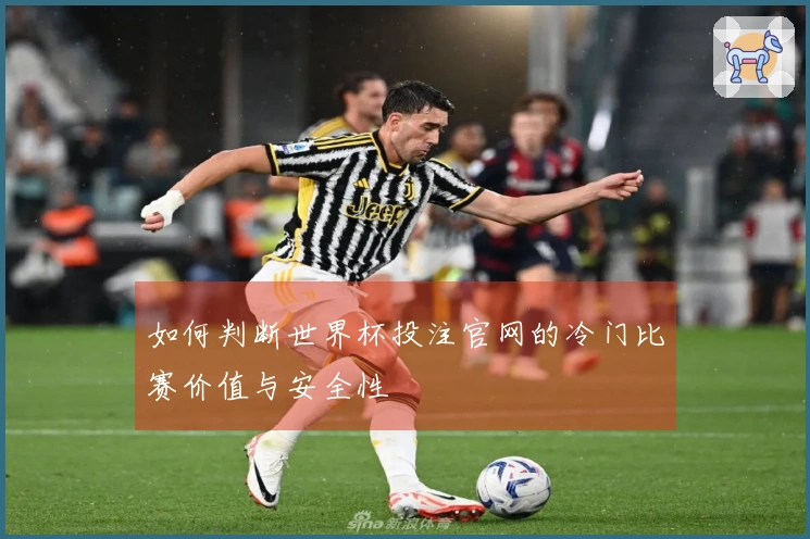 如何判断世界杯投注官网的冷门比赛价值与安全性