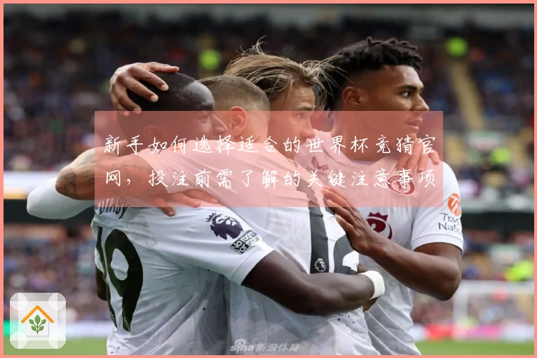 新手如何选择适合的世界杯竞猜官网,投注前需了解的关键注意事项