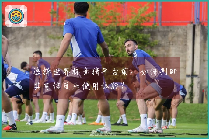 选择世界杯竞猜平台前，如何判断其可信度和使用体验？