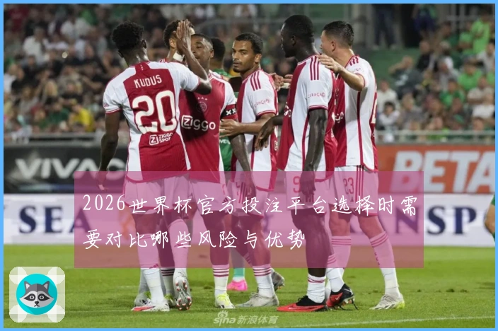 2026世界杯官方投注平台选择时需要对比哪些风险与优势