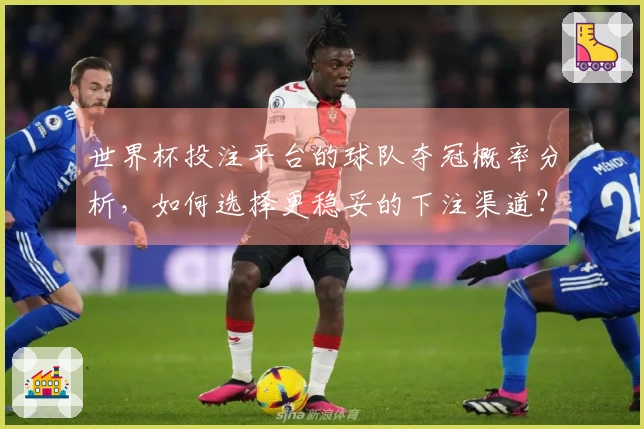 世界杯投注平台的球队夺冠概率分析，如何选择更稳妥的下注渠道？