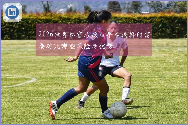 2026世界杯官方投注平台选择时需要对比哪些风险与优势