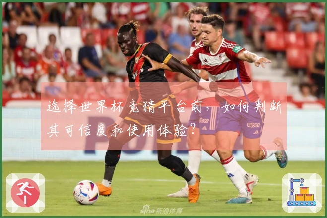 选择世界杯竞猜平台前，如何判断其可信度和使用体验？