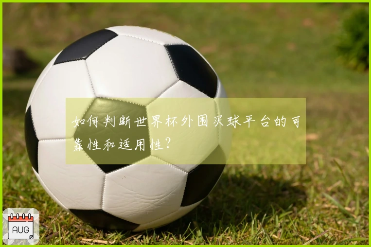如何判断世界杯外围买球平台的可靠性和适用性?