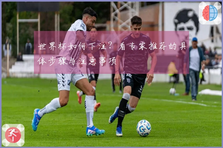 世界杯如何下注？看专家推荐的具体步骤与注意事项