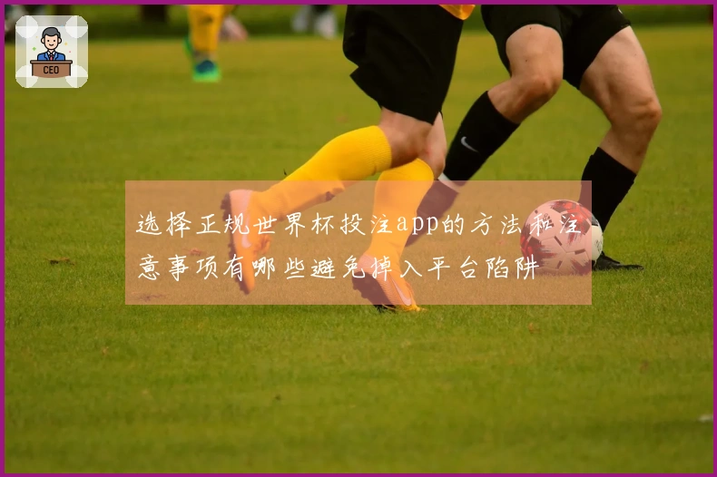 选择正规世界杯投注app的方法和注意事项有哪些避免掉入平台陷阱