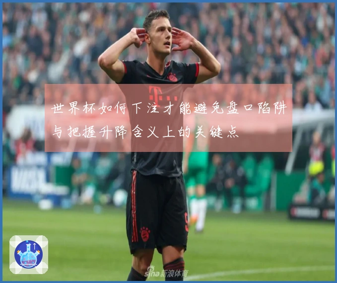 世界杯如何下注才能避免盘口陷阱与把握升降含义上的关键点