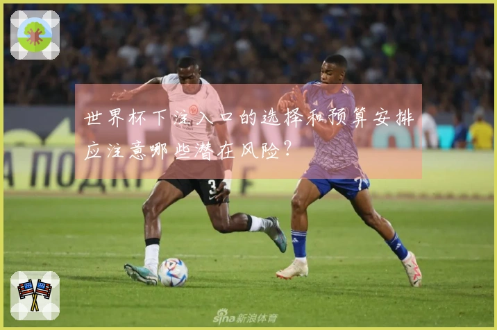 世界杯下注入口的选择和预算安排应注意哪些潜在风险？