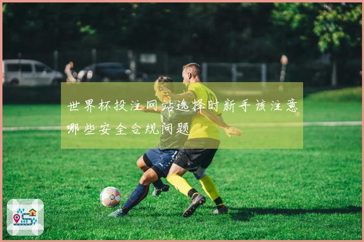 世界杯投注网站选择时新手该注意哪些安全合规问题