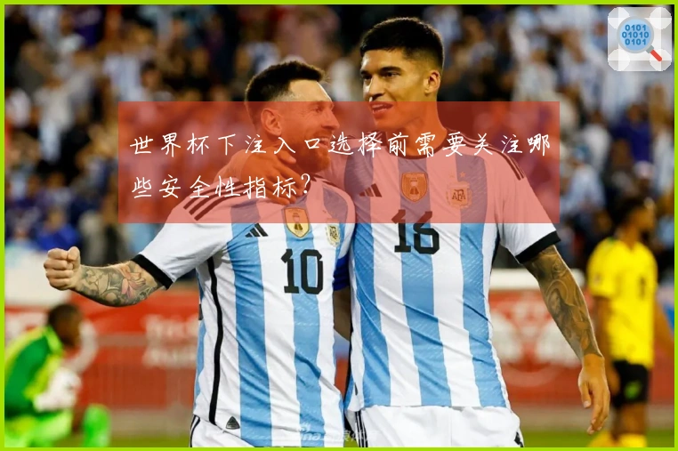 世界杯下注入口选择前需要关注哪些安全性指标？