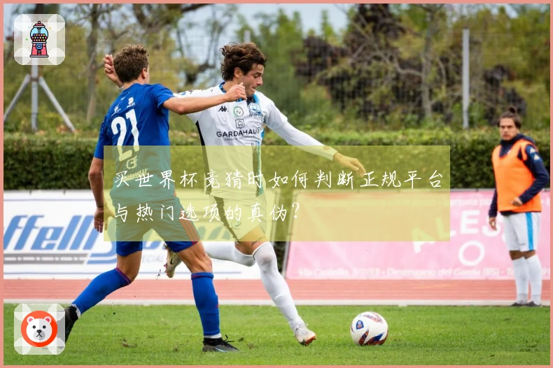 买世界杯竞猜时如何判断正规平台与热门选项的真伪?