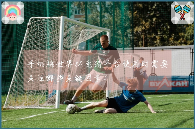 手机端世界杯竞猜平台使用时需要关注哪些关键因素？