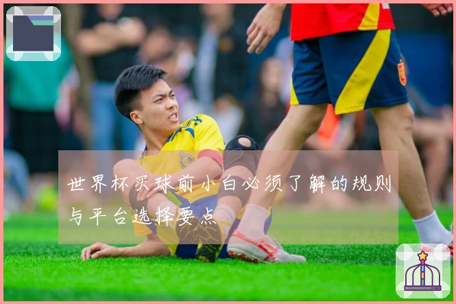 世界杯买球前小白必须了解的规则与平台选择要点
