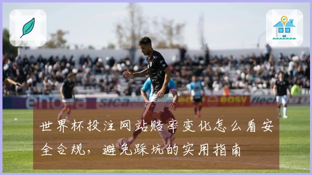 世界杯投注网站赔率变化怎么看安全合规，避免踩坑的实用指南
